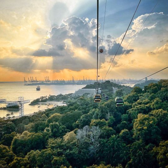 the view of Sentosa from a cable car