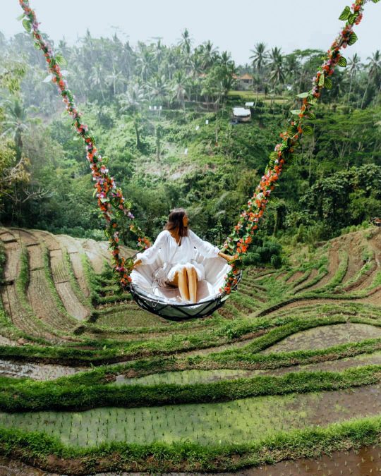 a woman on an exhilarating ride on the famous Bali Swing in Ubud's rice paddy field