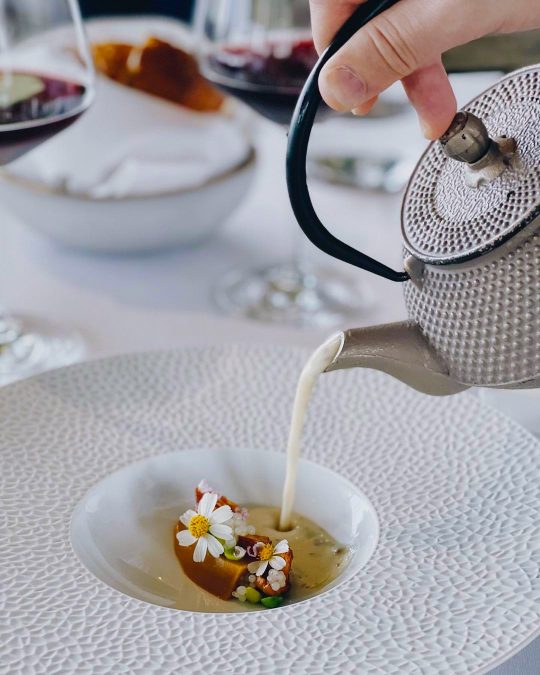 soup poured from a pot into an artistic bowl filled with the finest ingredients