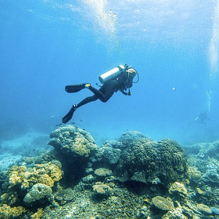 a scuba diver swimming over a coral reef in the ocean