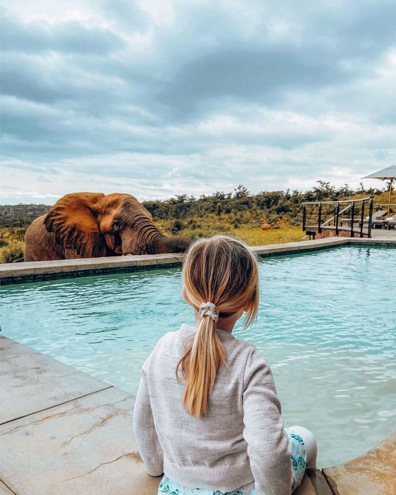a little girl sitting next to a swimming pool with an elephant in the background