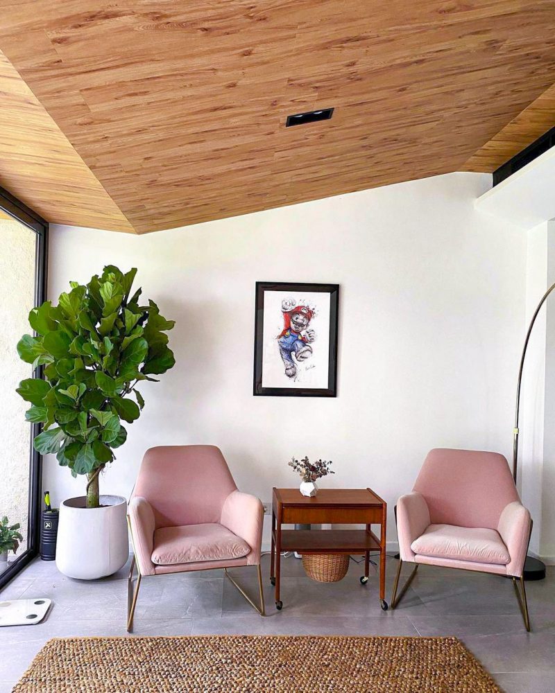 a seating area with a beautiful Monstera plant