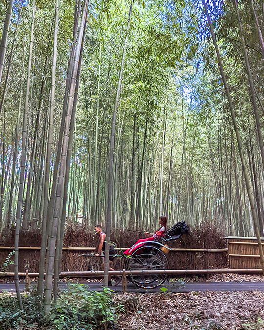 a lady taking a rickshaw ride in a serene bamboo forest in the town of Arashiyama