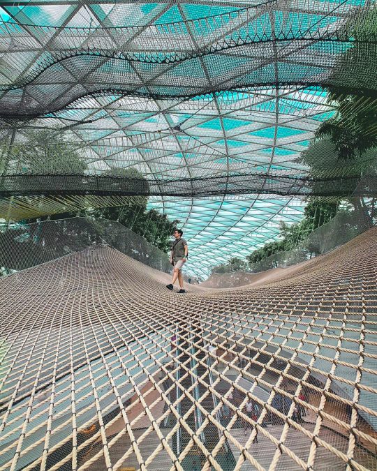 the Walking Net at the Canopy Park at Jewel Changi