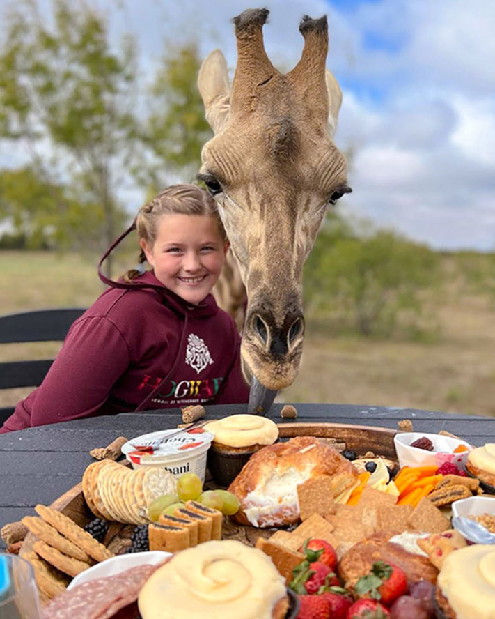 a girl enjoying a cheese platter and dining with animals