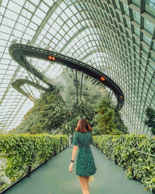'Gardens by the Bay's Cloud Forest