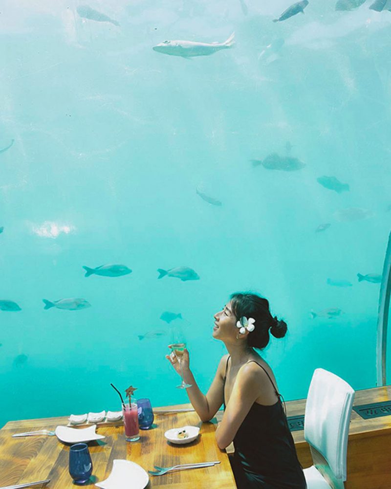 a guest enjoying a meal at Ithaa Undersea Restaurant, Maldives, surrounded by stunning views of the coral reef and marine life