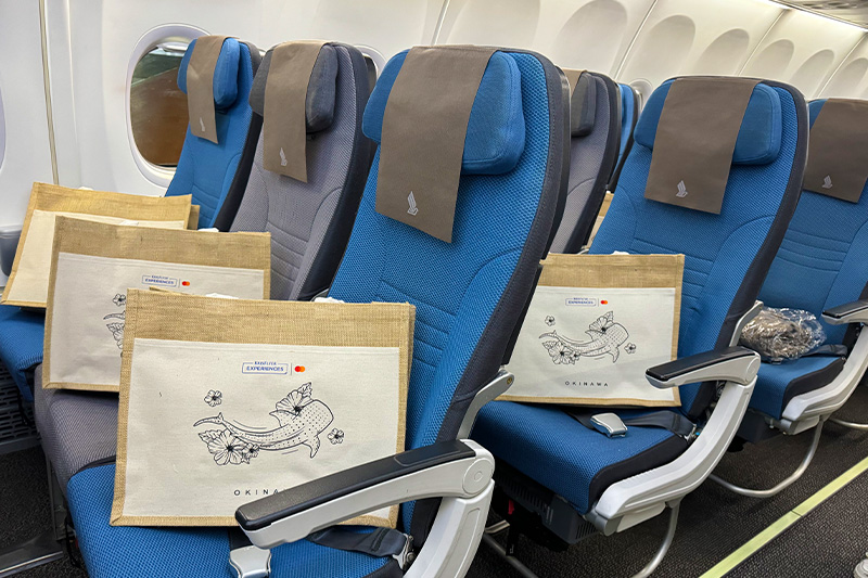 goodie bags on the Singapore Airlines Economy Class seats