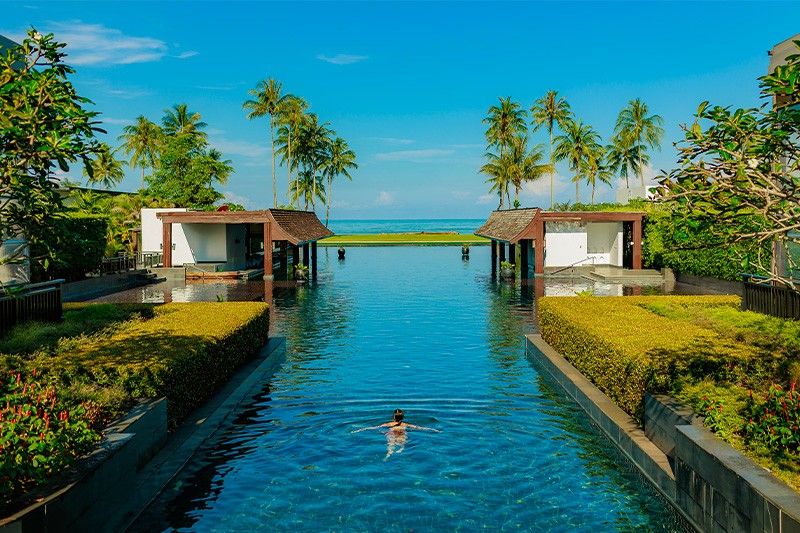 woman swimming with a nature view and palm trees